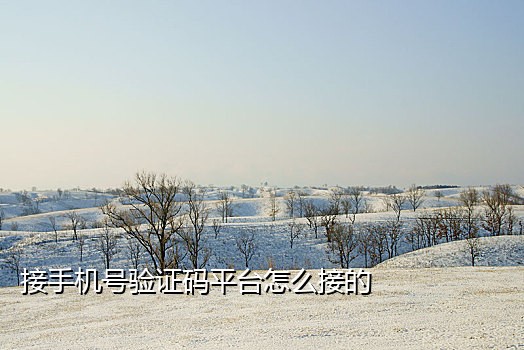 中国手机号免费接验证码