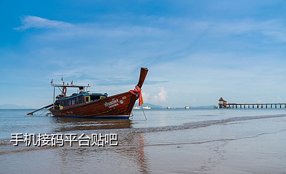 智码手机验证码接码管家