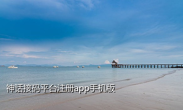 怎么接短信验证码平台