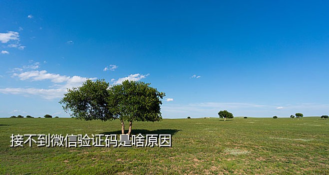 在线接码短信验证码网站