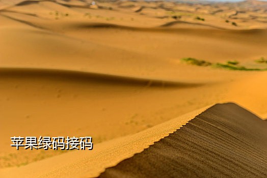 在手机如何接码