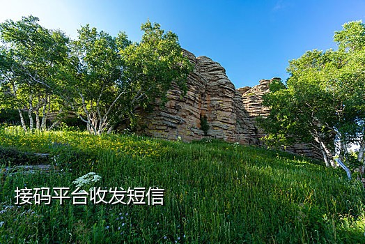 云南手机号接码平台查询