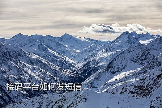 云短信接码月入千万