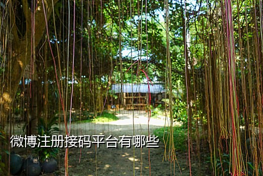 云短信接码网