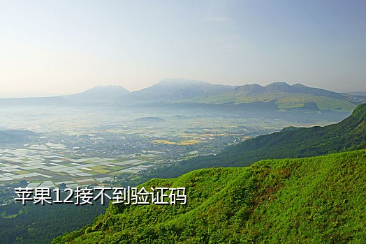 有没有苹果接码