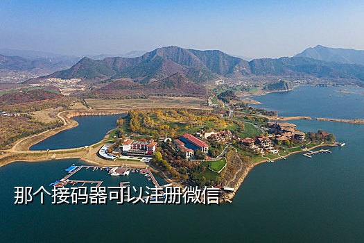 印尼手机号接验证码