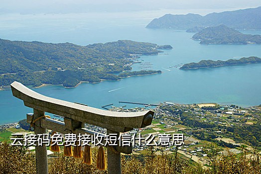 意大利手机号接码