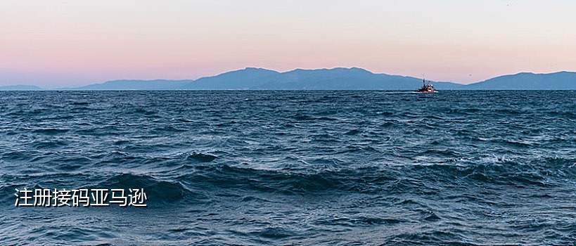 一对一短信接码