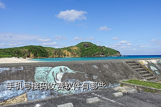 虚拟接码违法吗知乎