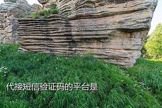 手机接码啥意思