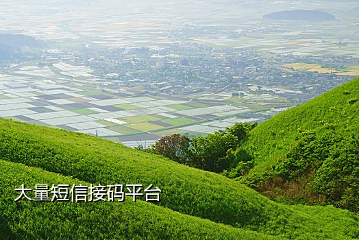 为什么接短信验证码