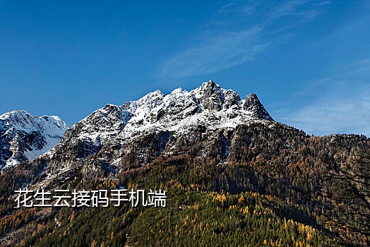 微信二维码接稿怎么弄出来