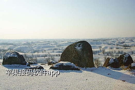手机接码平台免费试用