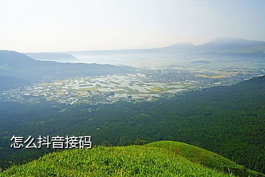 微博注册机对接QQ群接码