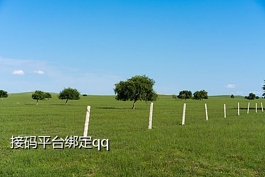 网页版手机接码