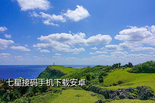 完美手机接码软件下载