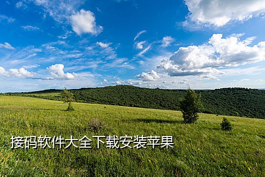 淘宝上的接码靠谱吗