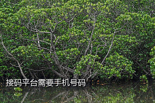 淘宝京东拉新接码平台