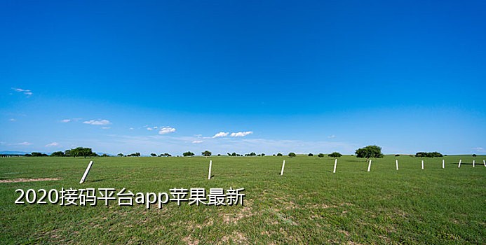 手机接码开会员