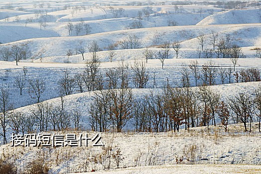 探探接码安全吗