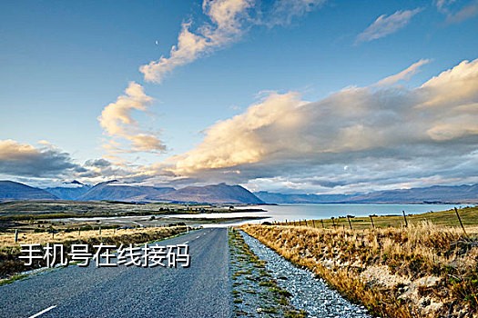 台湾短信接码软件