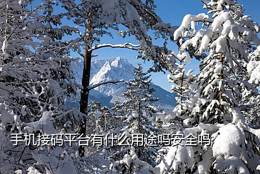台湾 shopee 接码
