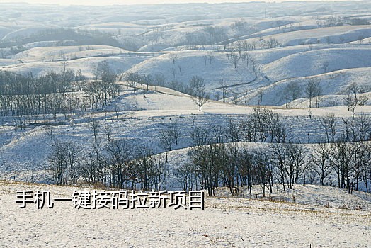 苏宁小店手机接码