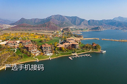 手机语音接码软件