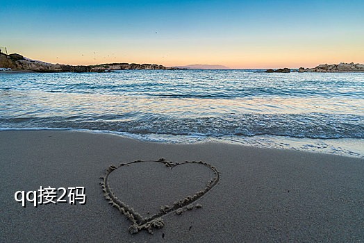 手机验证码在哪接