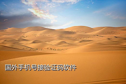 手机接码大全