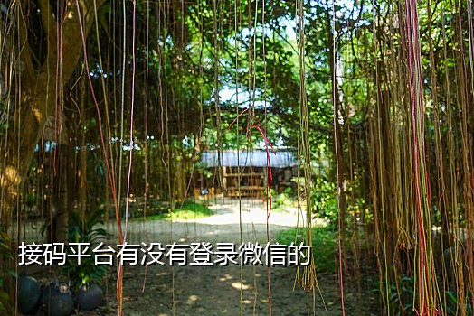 手机接码活动