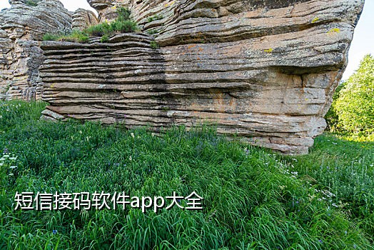 手机接发验证码收费吗