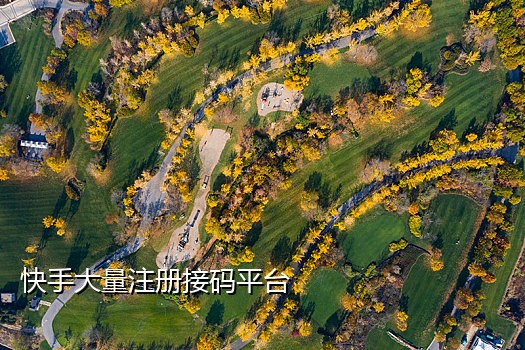 手机接不到验证码怎么办