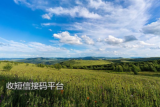 手机号注册了怎么接验证码