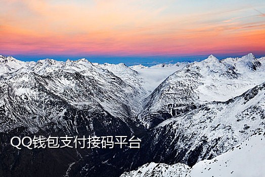 手机号码接码链接网站查询