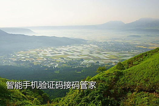 手机号码电脑接短信验证码