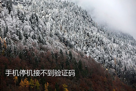 手机号接不到验证码怎么办