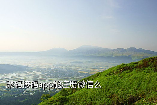 谁有新的短信接码平台