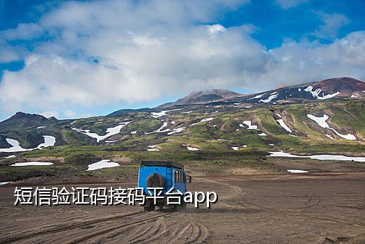 山西手机号接码