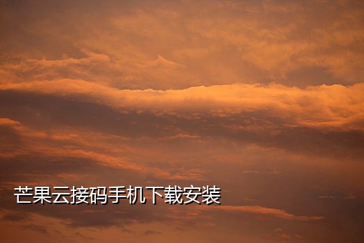 苹果系统 有没有接码