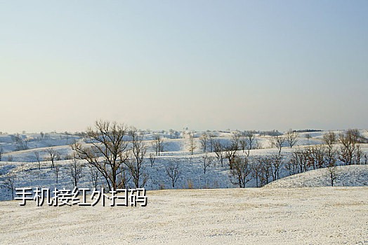 苹果接视频不能扫码怎么办