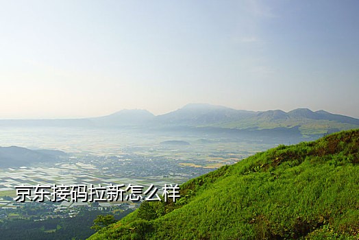 苹果接不到验证码怎么回事