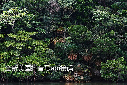 手机号验证码免费接平台