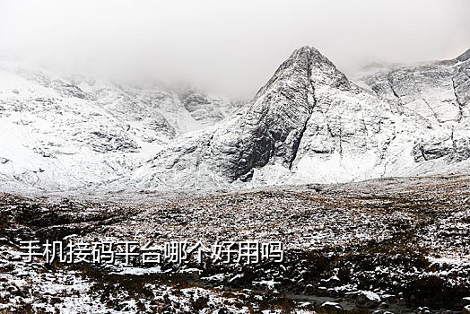 手机号虚拟接码