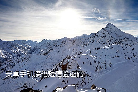 手机号实卡接码