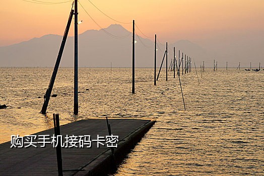 陌陌接验证码平台会封号吗