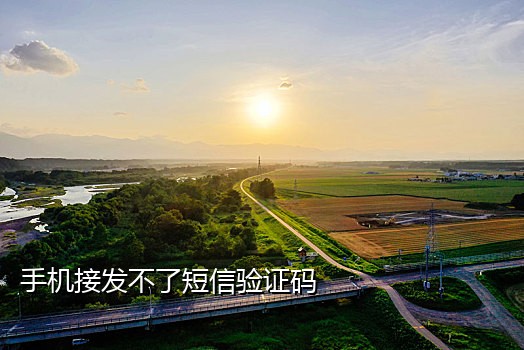 陌陌接验证码案