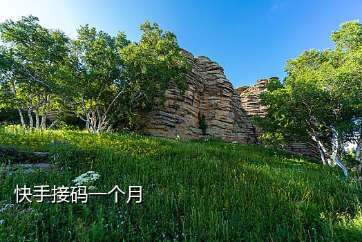 免费手机号接验证码平台