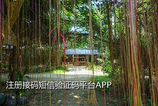 免费短信接码平台大全