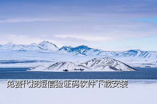 免费代接短信验证码的平台